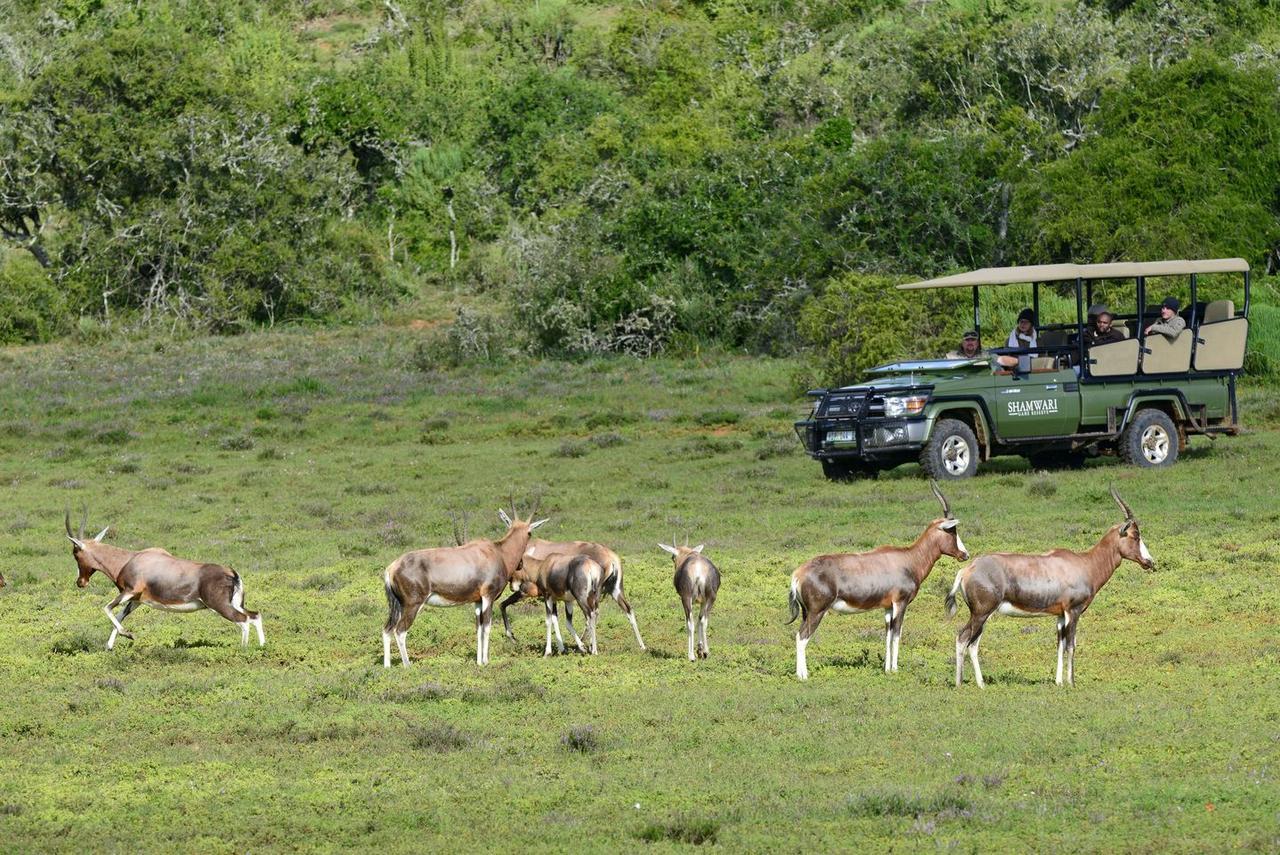 Villa Shamwari Eagles Crag Port Elizabeth Exterior foto