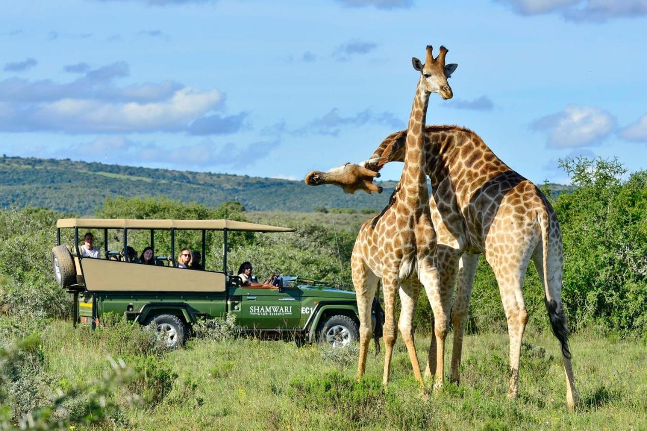 Villa Shamwari Eagles Crag Port Elizabeth Exterior foto