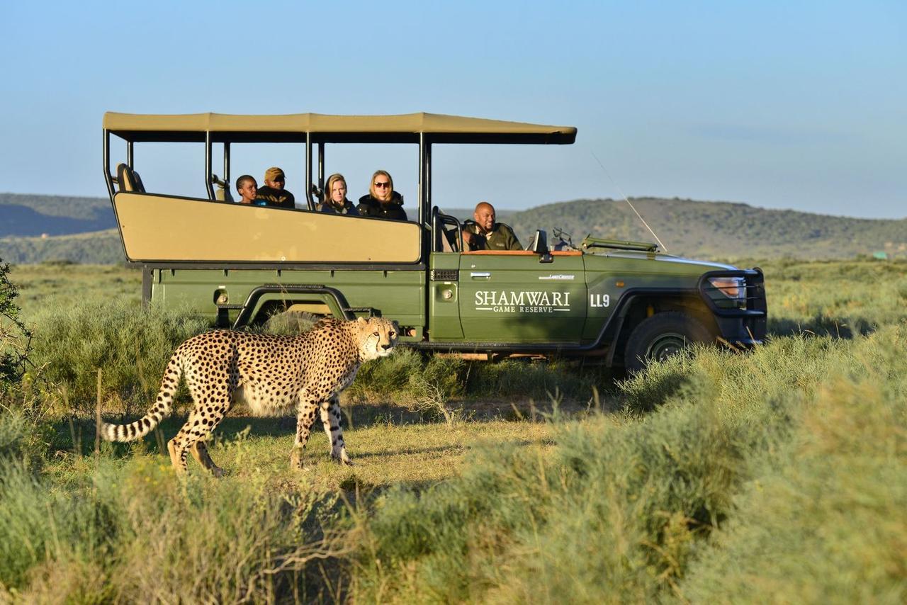 Villa Shamwari Eagles Crag Port Elizabeth Exterior foto